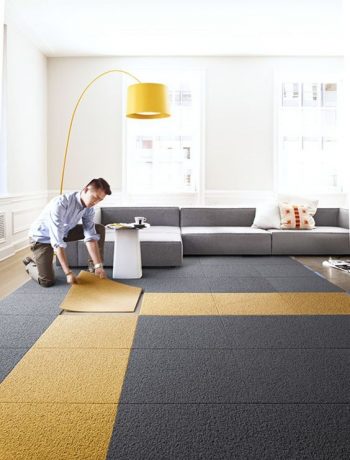 Carpet5